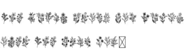Flowering by Letterayu — Dingbats Font — thumbnail 5