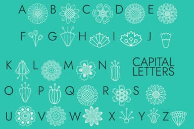 Flowerose by Minimalistartstudio — Dingbats Font — thumbnail 3