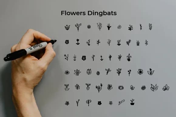 Flowers by Ciriative — Dingbats Font