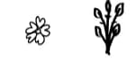 Flowers by Ciriative — Dingbats Font — thumbnail 4