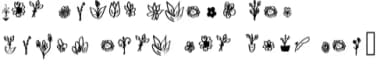 Flowers by Ciriative — Dingbats Font — thumbnail 5