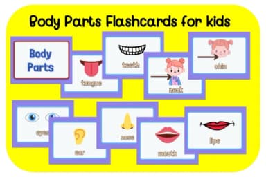 Flowers by Foam-Design Store — Dingbats Font — thumbnail 6