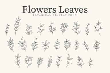 Flowers Leaves by CraftedType Studio — Dingbats Font — thumbnail 1
