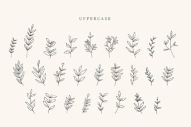 Flowers Leaves by CraftedType Studio — Dingbats Font — thumbnail 2