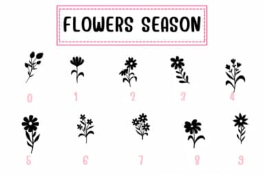 Flowers Season by PraewDesigns — Dingbats Font — thumbnail 4