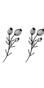 Flowers Season by PraewDesigns — Dingbats Font — thumbnail 8