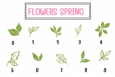 Flowers Spring by PraewDesigns — Dingbats Font — thumbnail 4