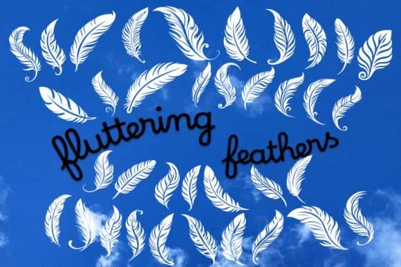 Fluttering Feathers by MOMAT THIRTYONE — Dingbats Font