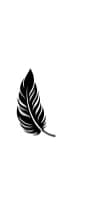 Fluttering Feathers by MOMAT THIRTYONE — Dingbats Font — thumbnail 3