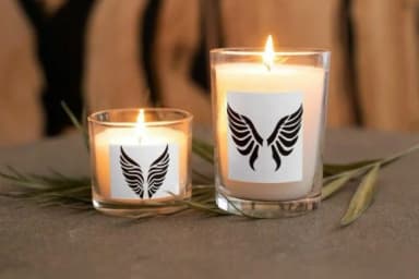 Fluttering Wings by MOMAT THIRTYONE — Dingbats Font — thumbnail 6