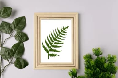 Foliage by Nongyao — Dingbats Font — thumbnail 6