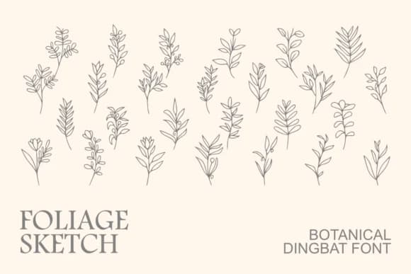 Foliage Sketch by Intype Studio — Dingbats Font