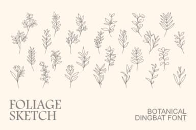 Foliage Sketch by Intype Studio — Dingbats Font — thumbnail 1