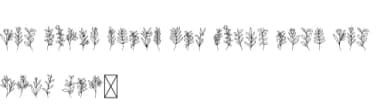 Foliage Sketch by Intype Studio — Dingbats Font — thumbnail 5