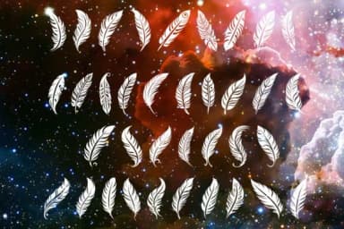 Forever Feather by MOMAT THIRTYONE — Dingbats Font — thumbnail 2