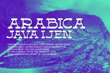 Forteast by glyphstyle — Slab Serif Font — thumbnail 7