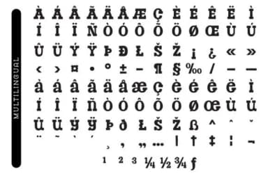 Fox Animal by Fox7 — Slab Serif Font — thumbnail 8