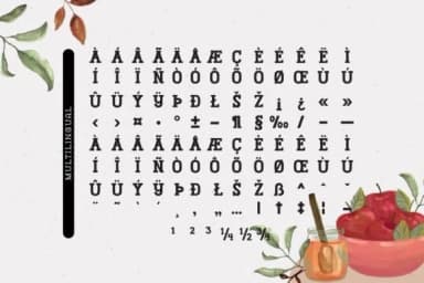 Fox Cider by Fox7 — Slab Serif Font — thumbnail 7