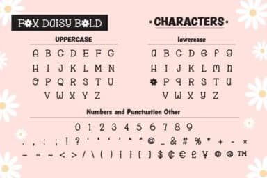 Fox Daisy by Fox7 — Slab Serif Font — thumbnail 8