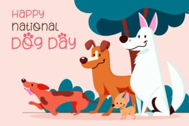 Fox Lime by Fox7 — Slab Serif Font — thumbnail 4