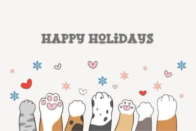 Fox Pumpkin by Fox7 — Slab Serif Font — thumbnail 3