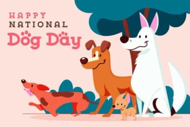 Fox Shiny by Fox7 — Slab Serif Font — thumbnail 3