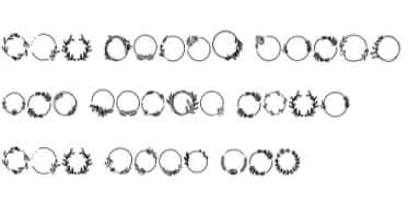 Frames Flowers by Sontaya — Dingbats Font — thumbnail 7