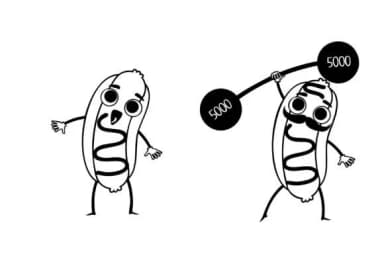 Frankly the Best Dingbats by Illustration Ink — Dingbats Font — thumbnail 5