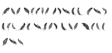 Freedom Maori Feathers by MOMAT THIRTYONE — Dingbats Font — thumbnail 6