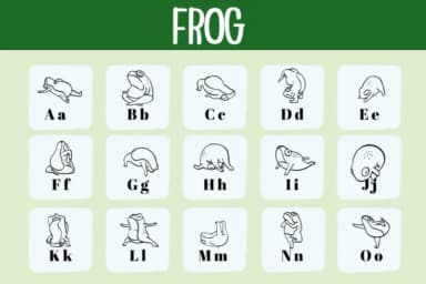 Frog by Bee Piyanuch — Dingbats Font — thumbnail 2
