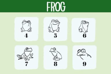 Frog by Bee Piyanuch — Dingbats Font — thumbnail 4