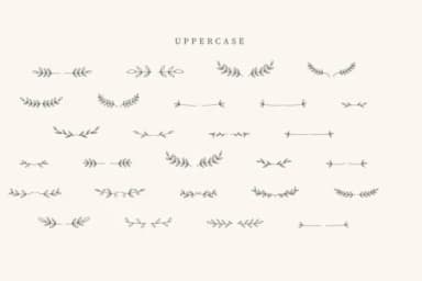 Frog Divider by CraftedType Studio — Dingbats Font — thumbnail 2