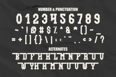 Funky Modern by Pian45 — Slab Serif Font — thumbnail 4