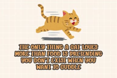 Funny Cat by CraftedType Studio — Slab Serif Font — thumbnail 2