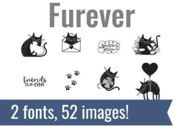 Furever by Illustration Ink — Dingbats Font — thumbnail 1