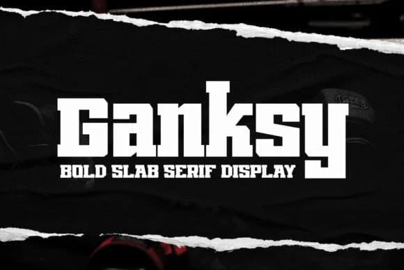 Ganksy by Arterfak Project — Slab Serif Font