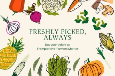 Garden Bounty by Sirinart — Dingbats Font — thumbnail 7