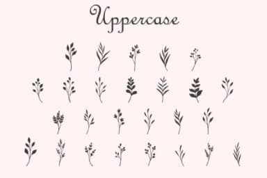 Gardenia by Minimalist Eyes — Dingbats Font — thumbnail 2