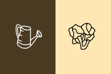 Gardening Doodle by CrafterFonts — Dingbats Font — thumbnail 3