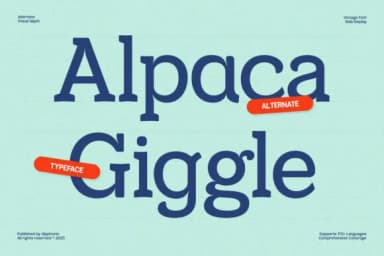 Gc Chalke by Glyphonic — Slab Serif Font — thumbnail 7