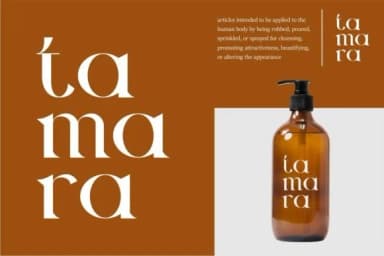 Gelogi by Vunira — Slab Serif Font — thumbnail 3