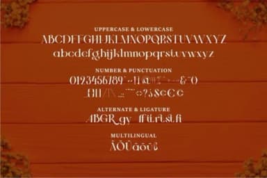 Gelogi by Vunira — Slab Serif Font — thumbnail 6