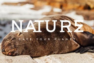 Getboreg by ffeeaarr — Slab Serif Font — thumbnail 2