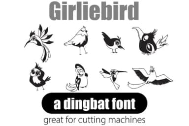 Girliebird Font by Illustration Ink — Dingbats Font — thumbnail 5
