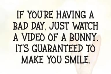 Glitter Bunny by Letterayu — Slab Serif Font — thumbnail 3