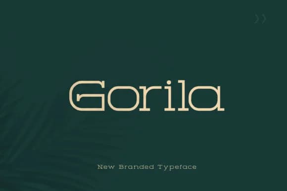 Gorila by Design Stag — Slab Serif Font