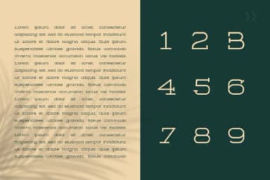 Gorila by Design Stag — Slab Serif Font — thumbnail 3