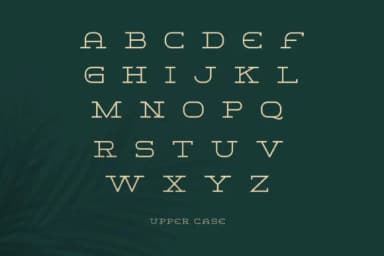 Gorila by Design Stag — Slab Serif Font — thumbnail 4