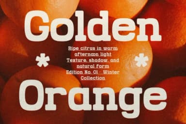 Grado Block by Gracetypestudio — Slab Serif Font — thumbnail 4