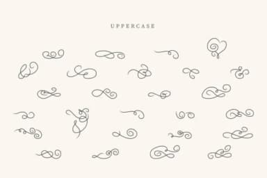 Graduation Swirls by CraftedType Studio — Dingbats Font — thumbnail 2